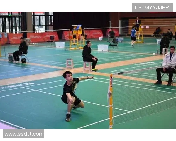 北京羽毛球队比赛经验分析与数据洞察探讨