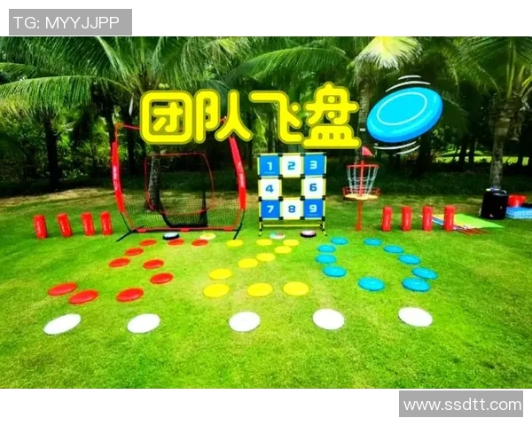 飞盘运动的崛起与挑战：广州飞盘队的成功运营探索之路
